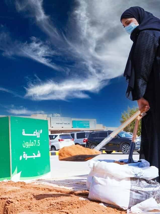 الرياض الخضراء